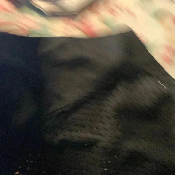 Nike Men’s Oregon Graphic Short Sleeve Jersey Size XXL - Picture 7 of 8